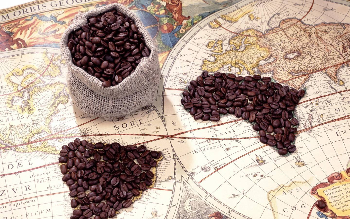 تاريخ وحضارة القهوة