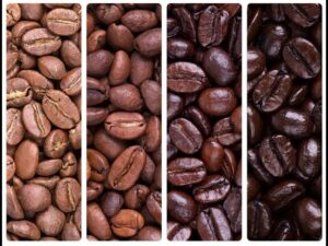 تحميص القهوة التحميص المتوسط