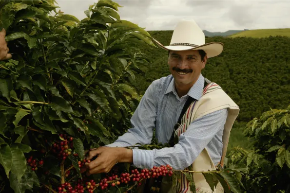 القهوة الكولومبية
